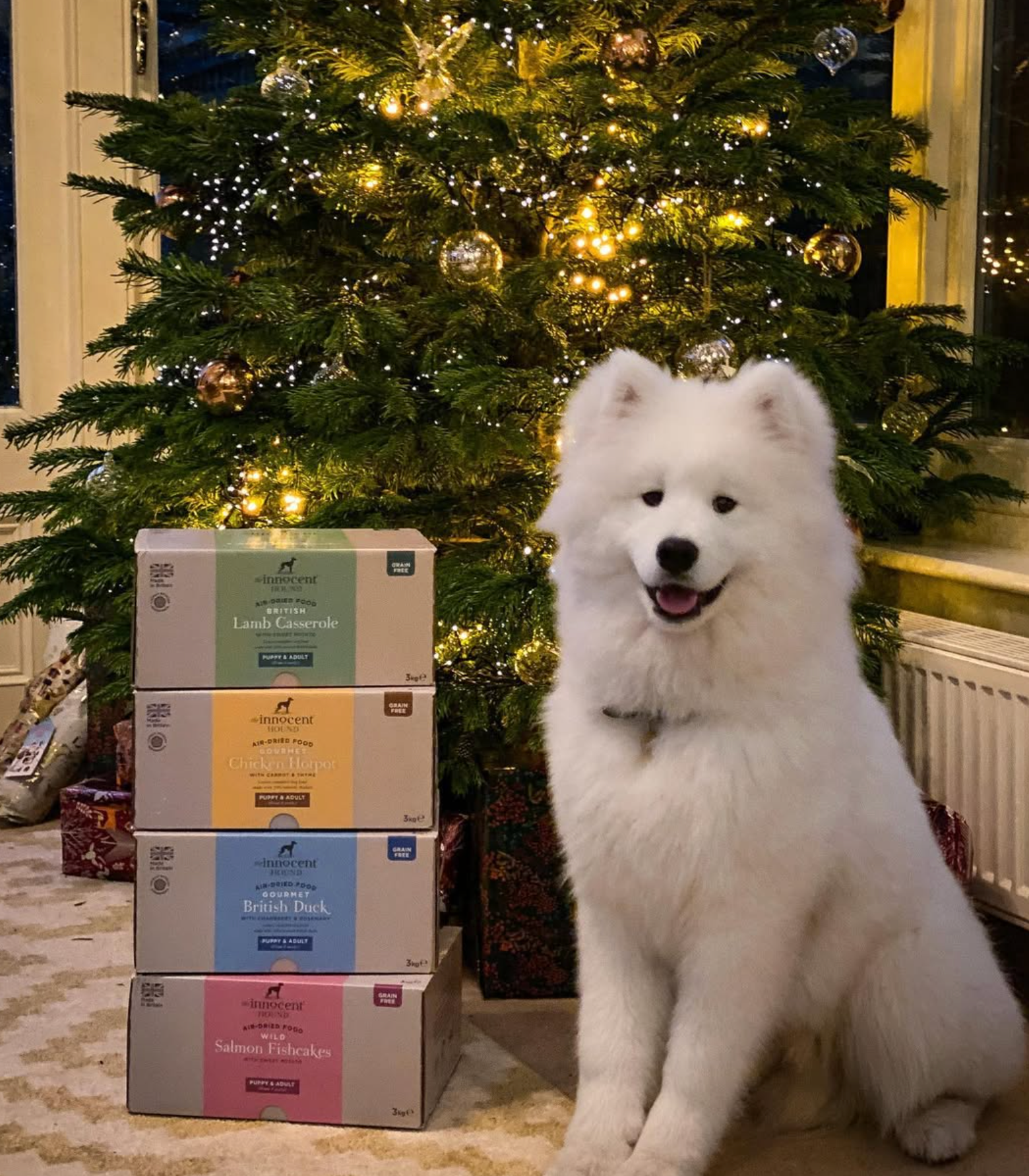 Air-dried Complete Dog Food