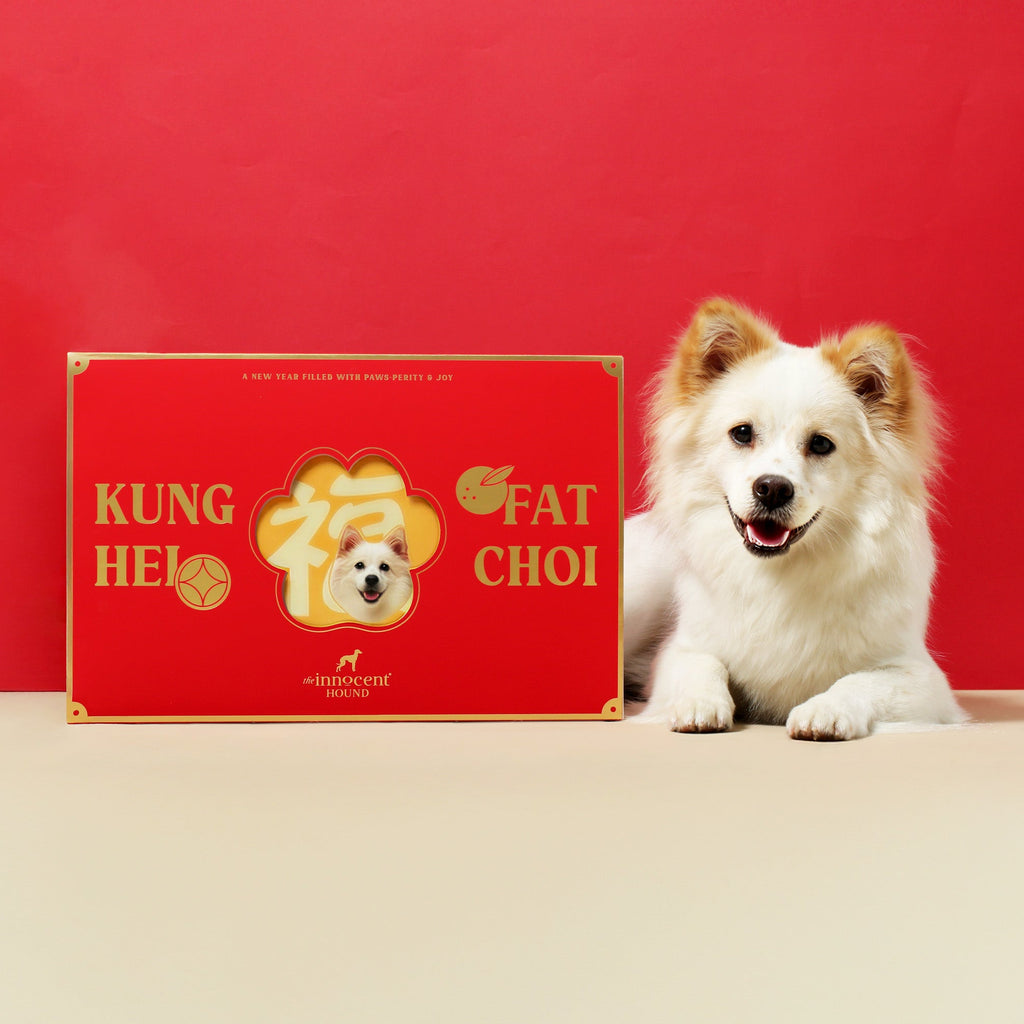 Paw-sperous New Year Gift Box (with Fai Chun) - For Dogs