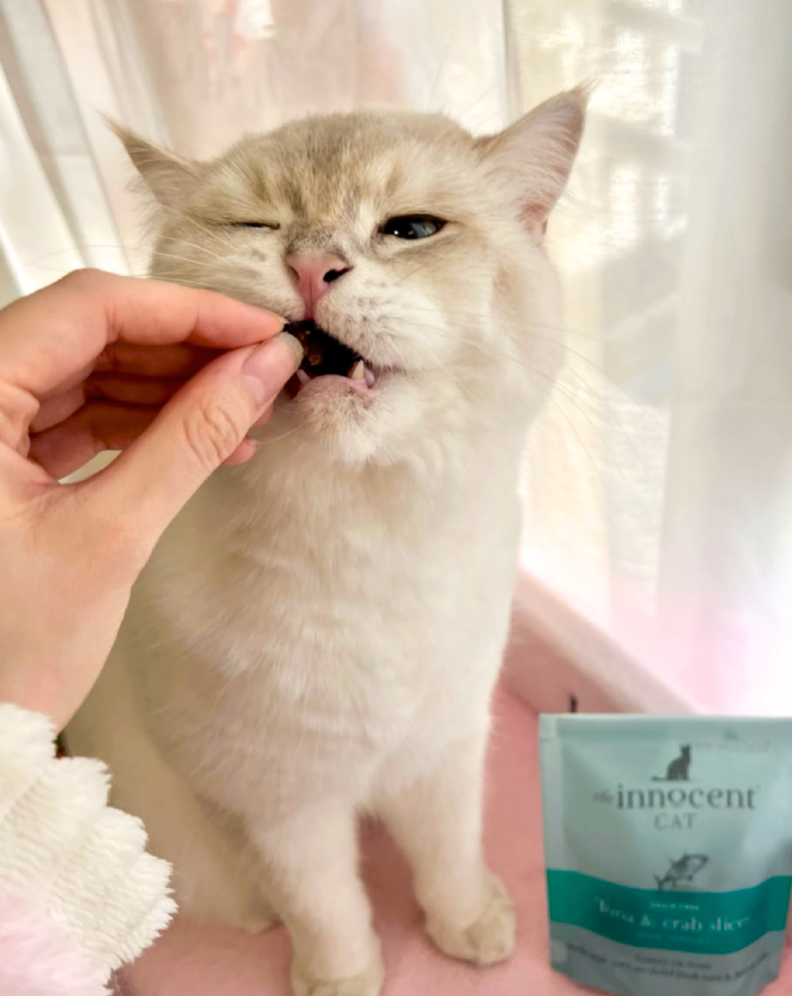 The Innocent Cat Tuna & Crab Slices with Parsley