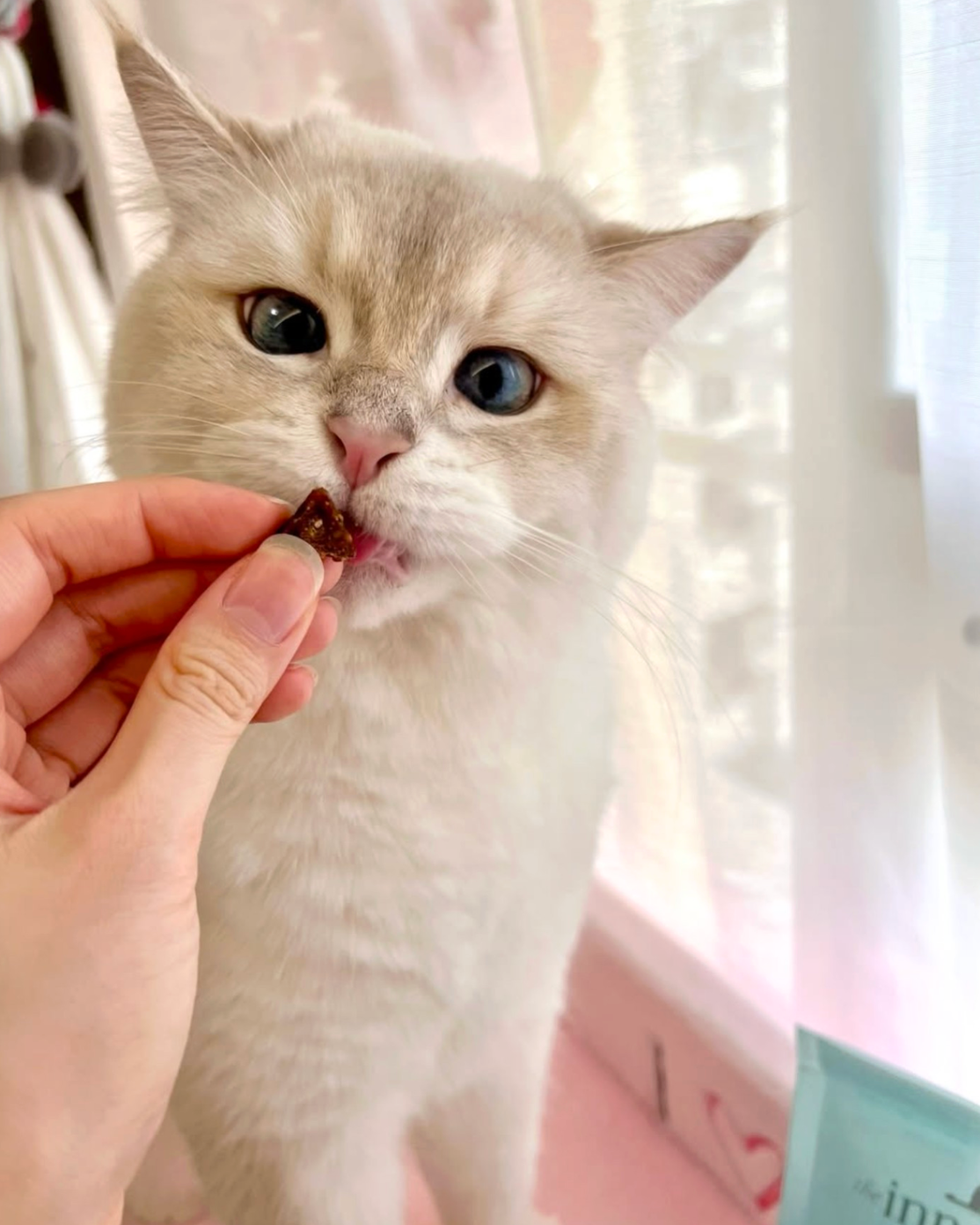 The Innocent Cat Tuna & Crab Slices with Parsley