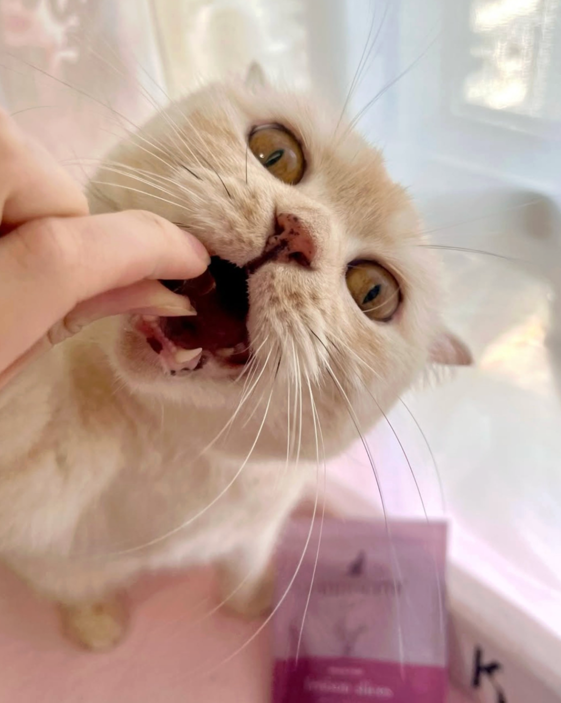 The Innocent Cat Venison Slices
