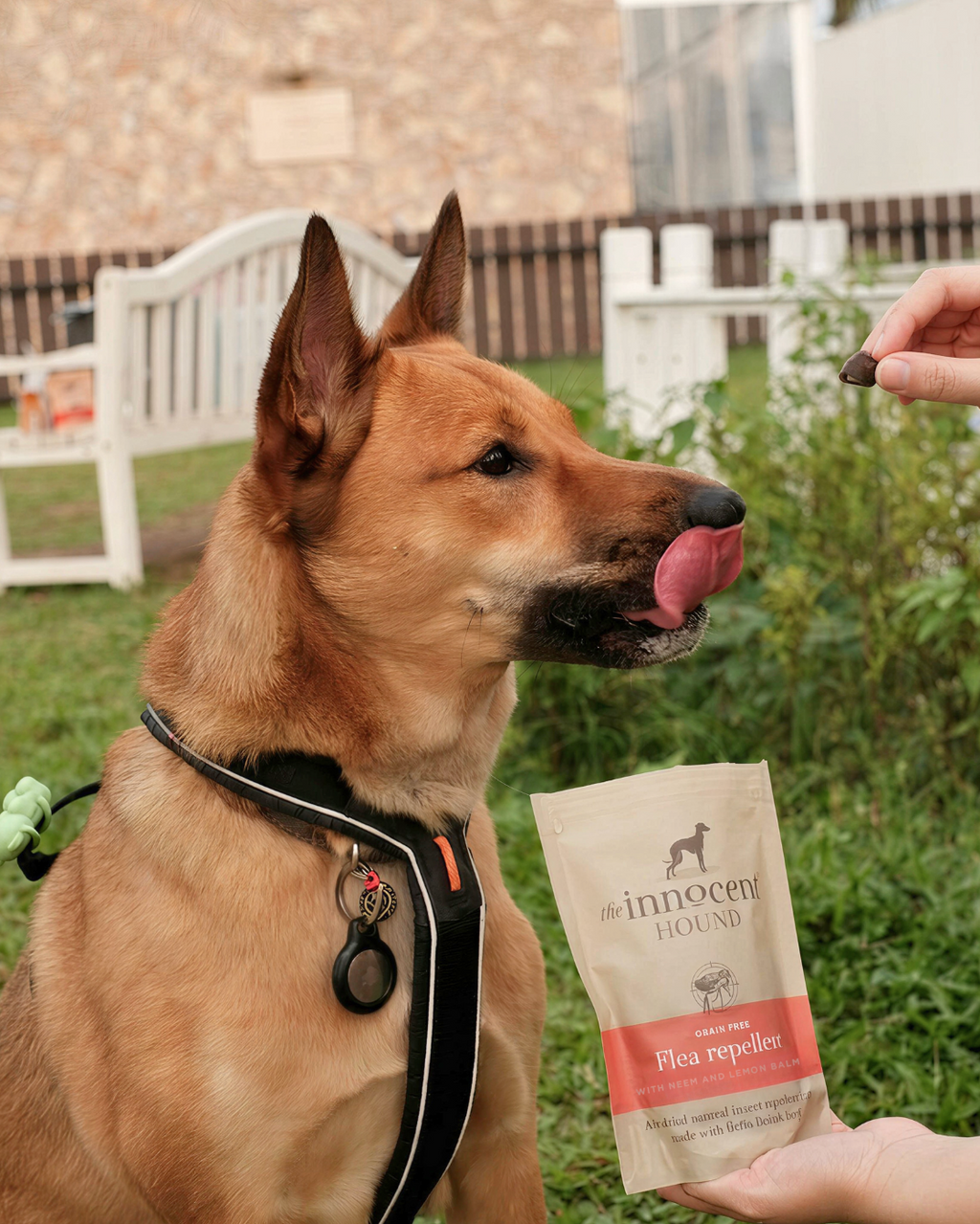 Flea Repellent Support - Beef with Neem & Lemon Balm