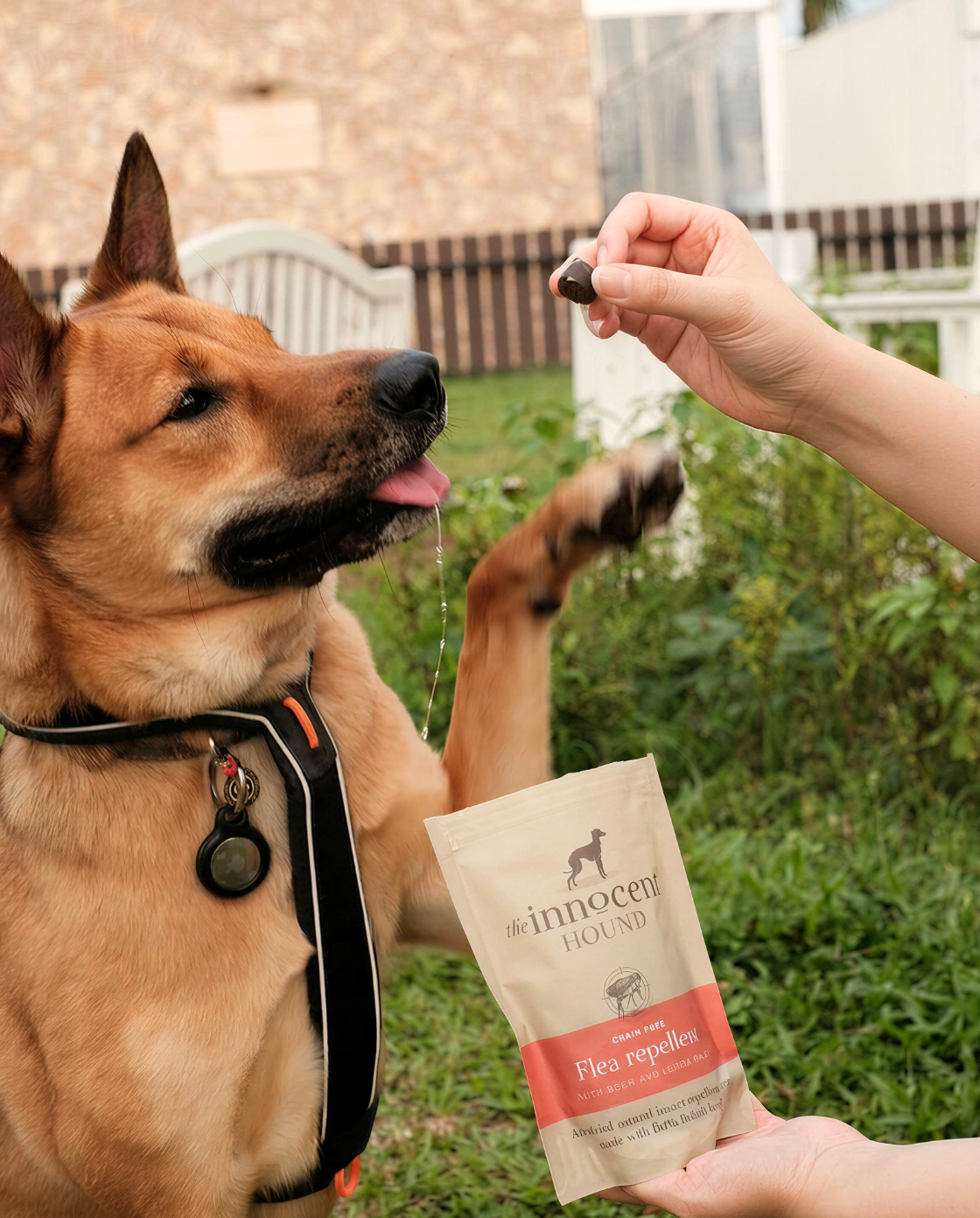 Flea Repellent Support - Beef with Neem & Lemon Balm