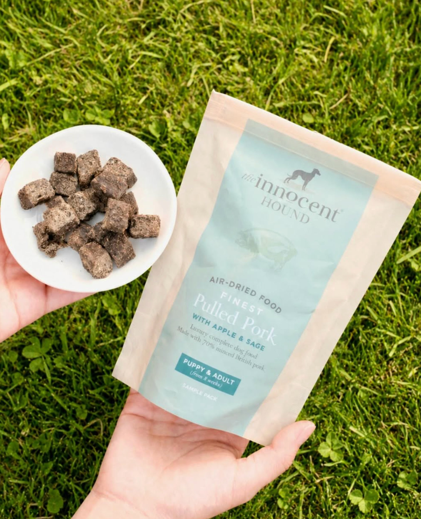 Air-Dried Complete Dog Food - Pork (100g)