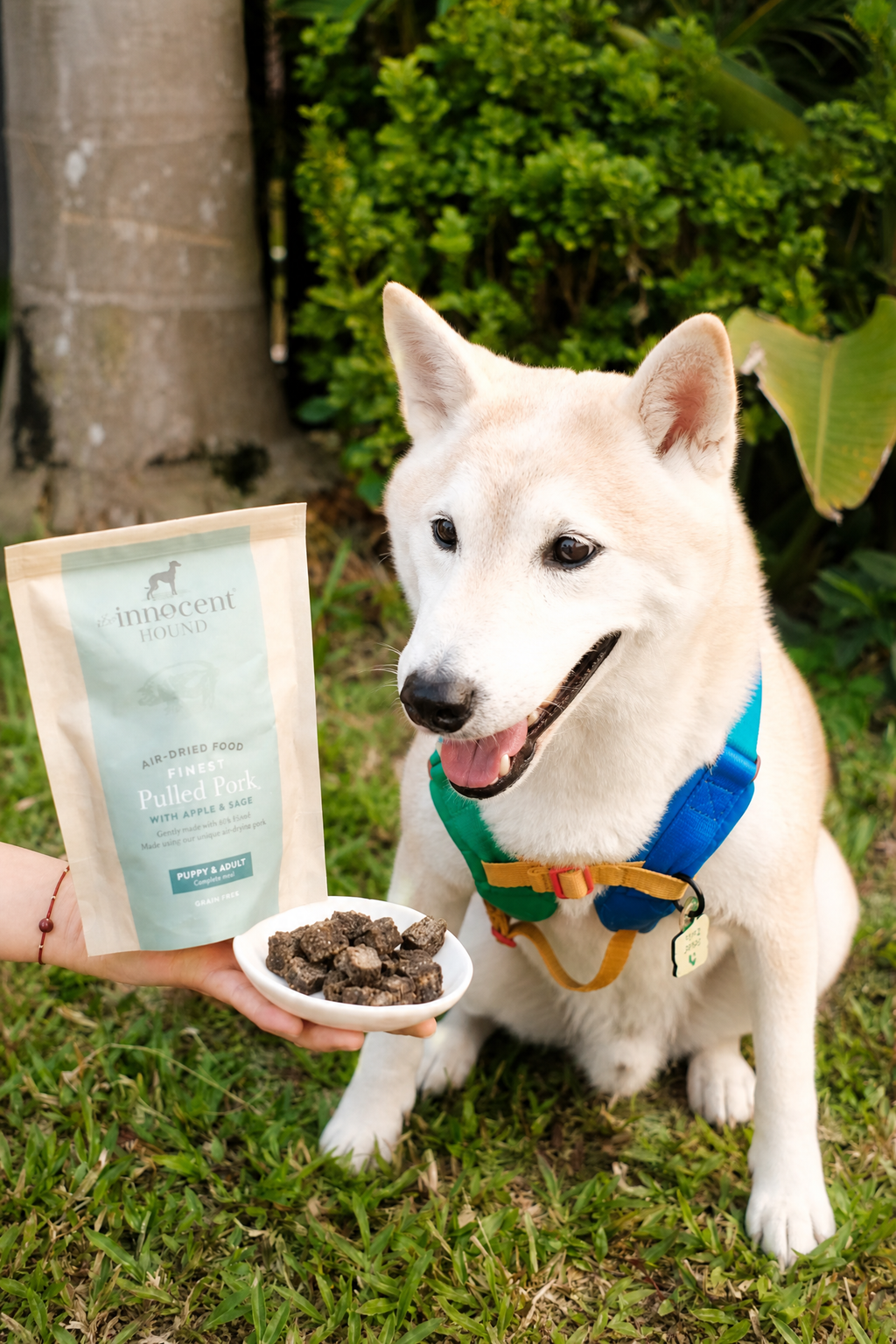 Air-Dried Complete Dog Food - Pork (100g)