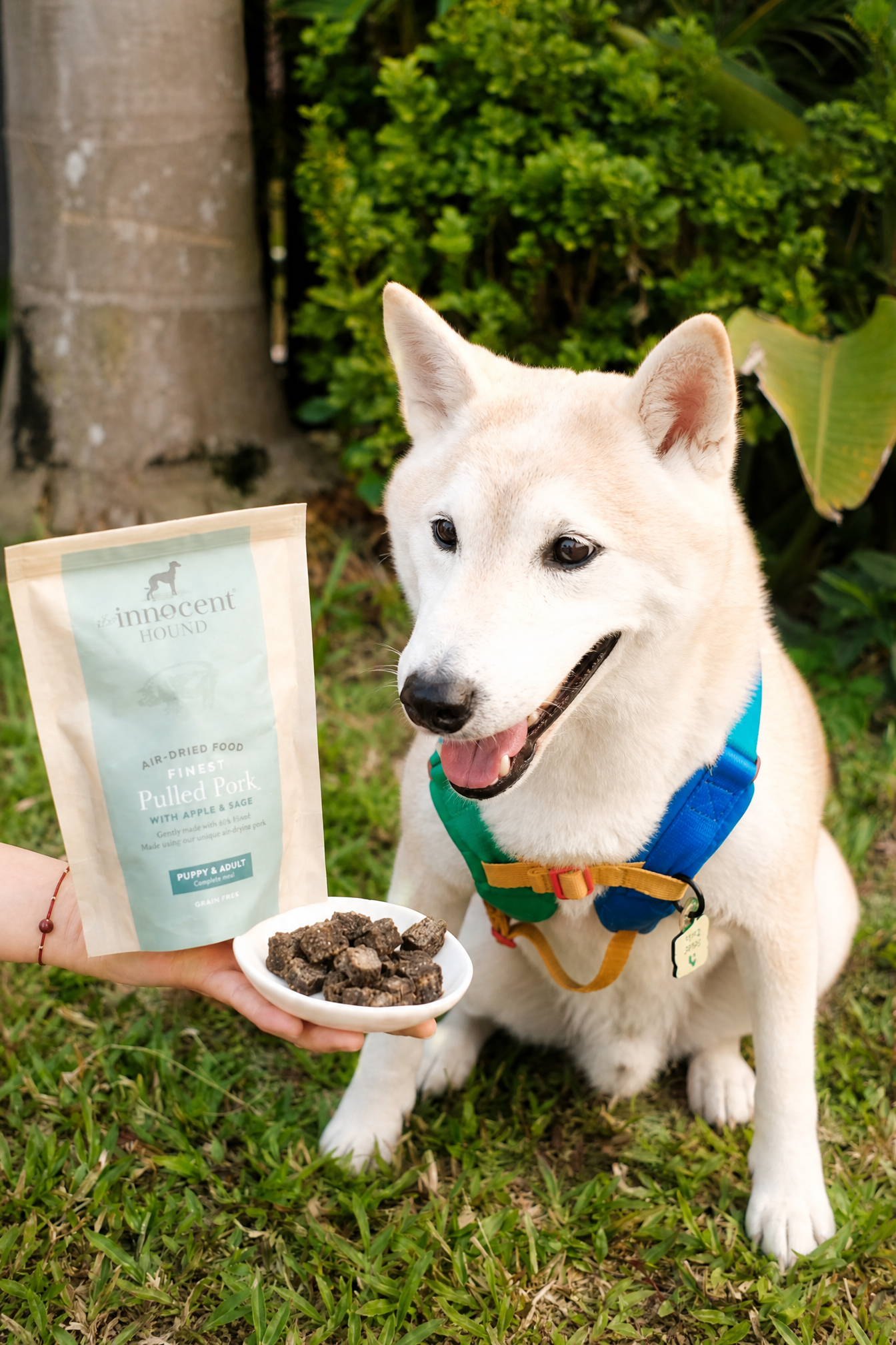 Air-Dried Complete Dog Food - Pork (100g)