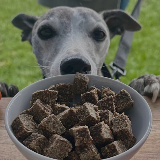 ✨New Packaging✨British Lamb Casserole with Sweet Potato - Air-dried Complete Dog Food 1.5kg