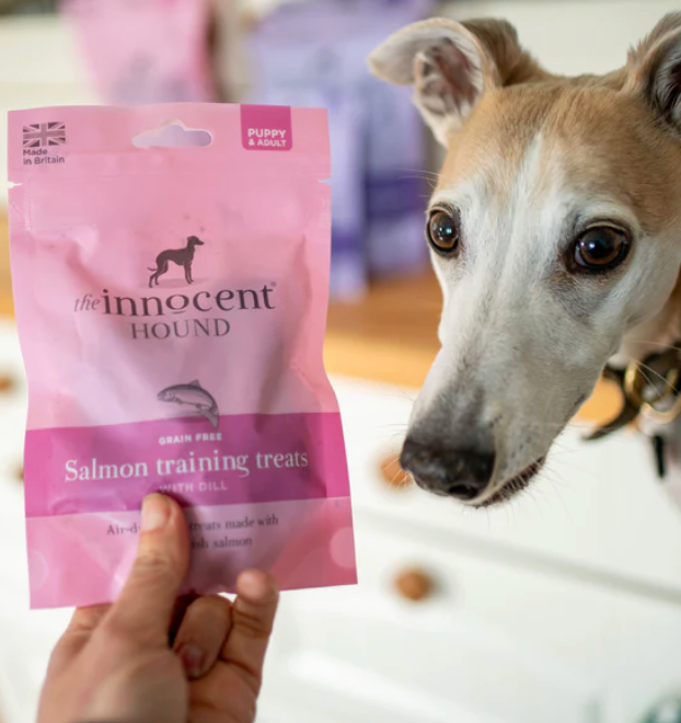 Salmon Training Treats
